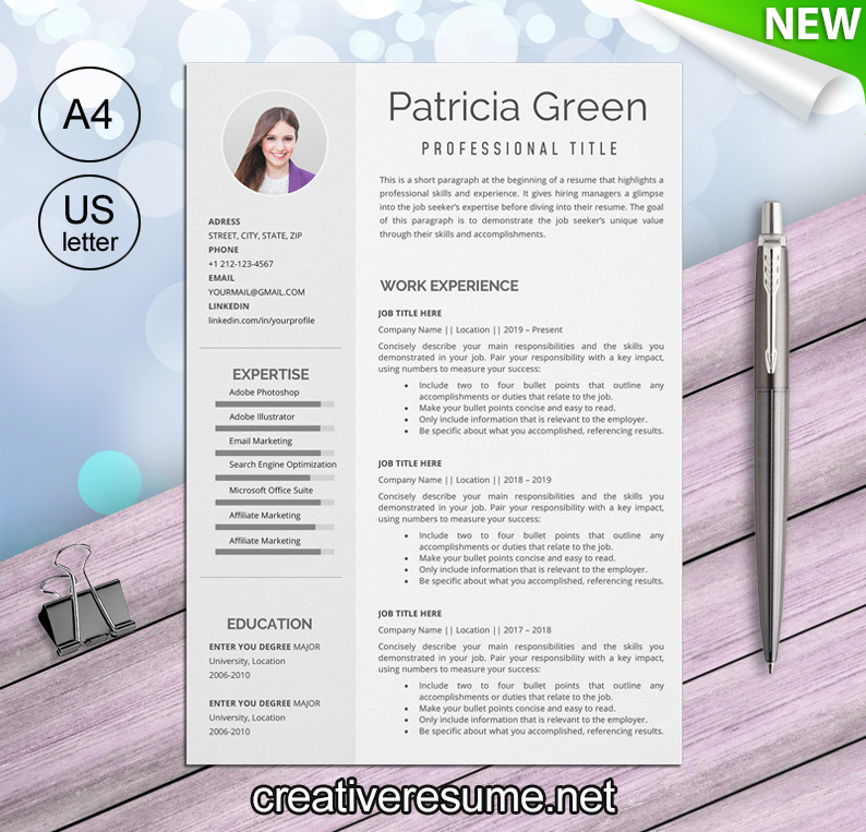 CEO resume template