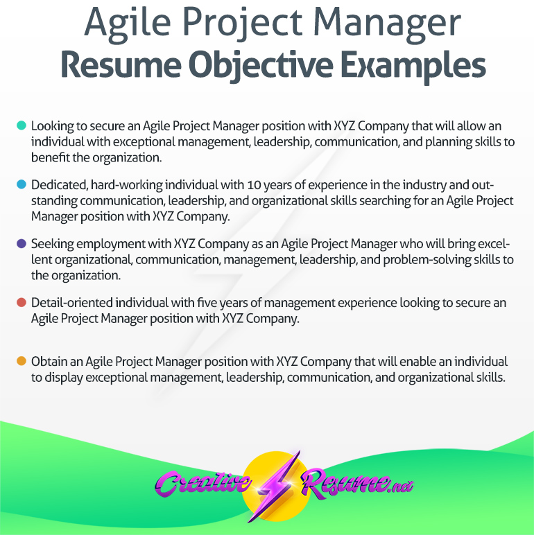 Agile Project Manager resume objective example