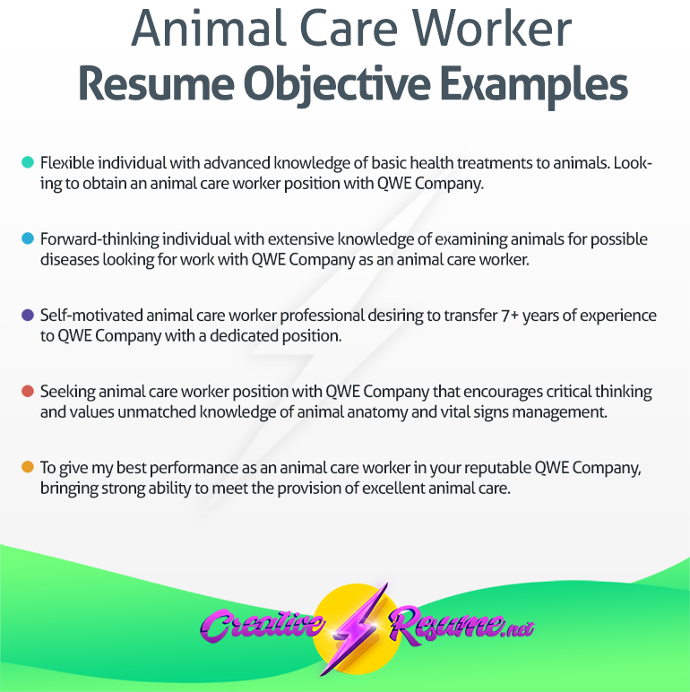 animal care worker resume objective example