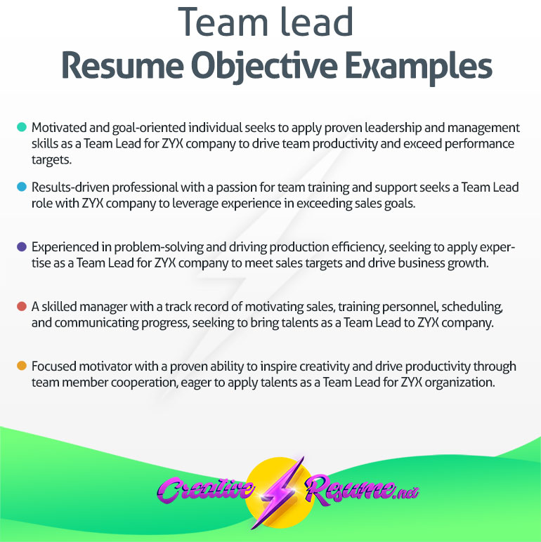 Team lead resume objective example
