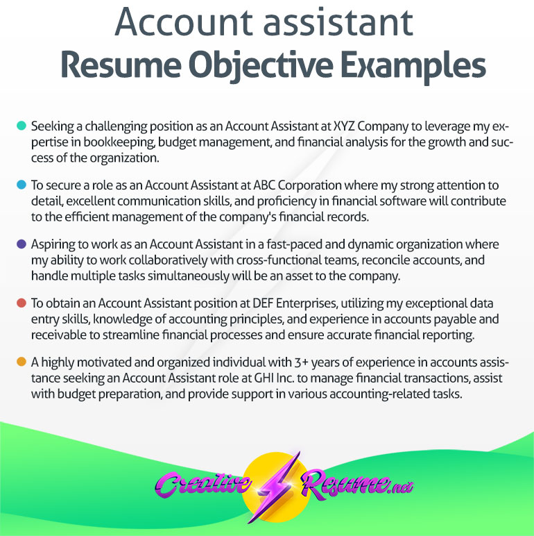 account assistant resume objective examples
