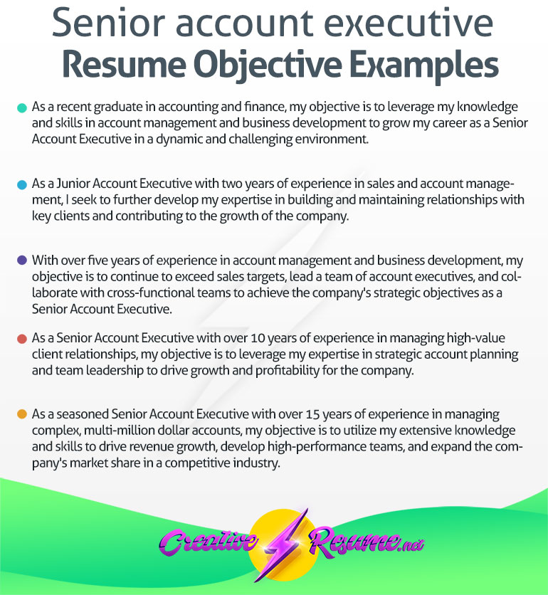 Senior account executive resume objective examples